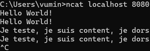 Echo sur client utilisant ClientHandlerBytes