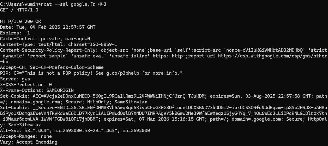 Teste HTTPS avec ncat